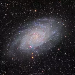 Galaxie du triangle - affiche astronomie
