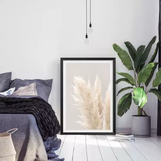 Pampas Grass Grey - poster plantes