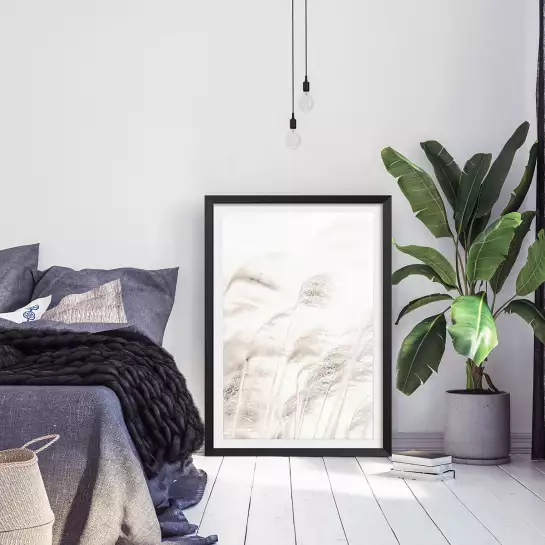 Roseau - poster plante
