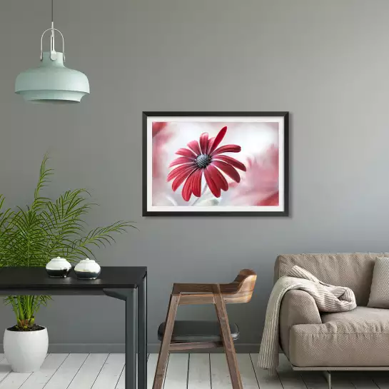 Pâquerette - poster fleurs