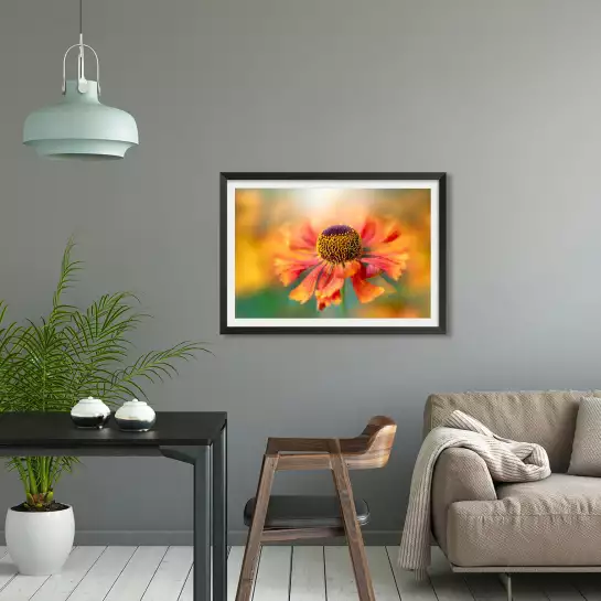 Helenium - poster fleurs