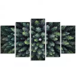 Arbres vivants - affiche foret