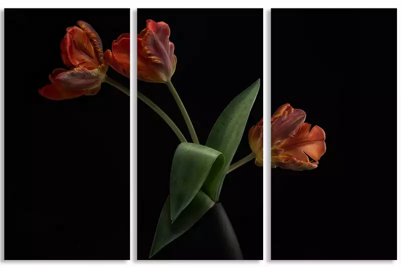 Tulipes en vase - affiche de fleurs