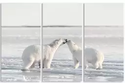 Célébration matinale - affiche animaux