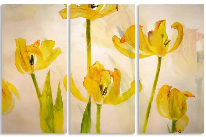 Tulipes - affiche fleurs