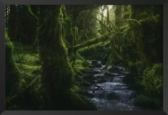 Bois caché - tableau paysage nature