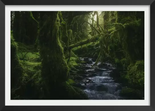 Bois caché - tableau paysage nature