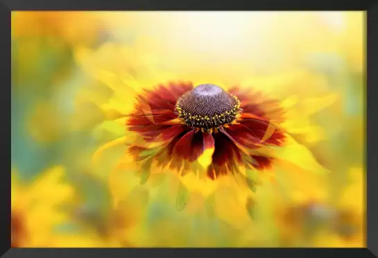 Éclat d'automne - poster fleurs