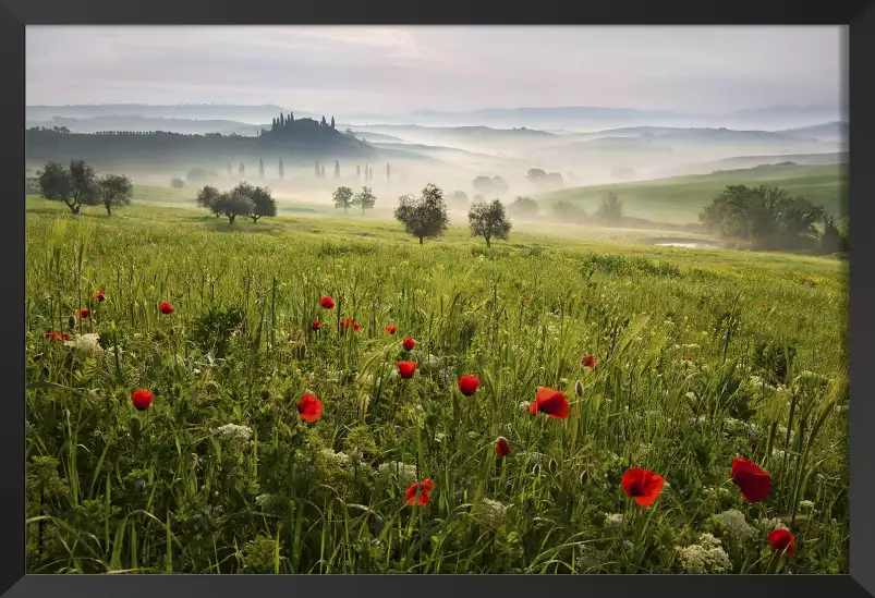 Printemps toscan - paysage nature