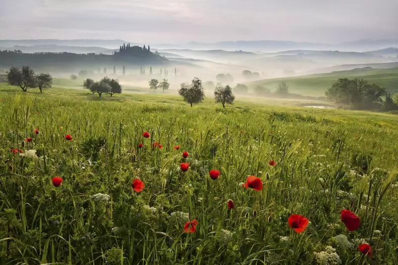 Printemps toscan - paysage nature