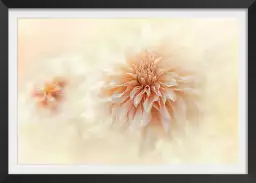 Dahlia au lait - affiche de fleurs