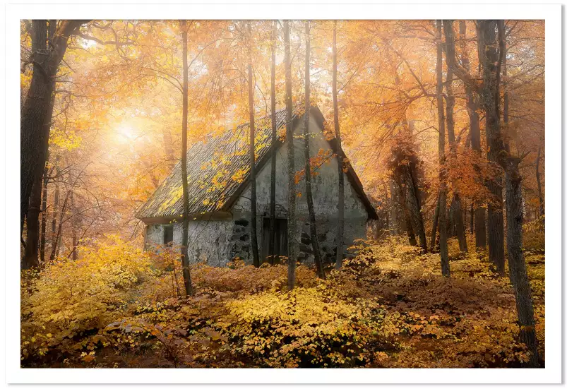 Maison dans la forêt - poster foret