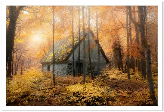 Maison dans la forêt - poster foret