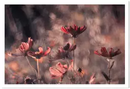 Danse cosmique - affiche fleurs