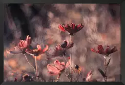 Danse cosmique - affiche fleurs