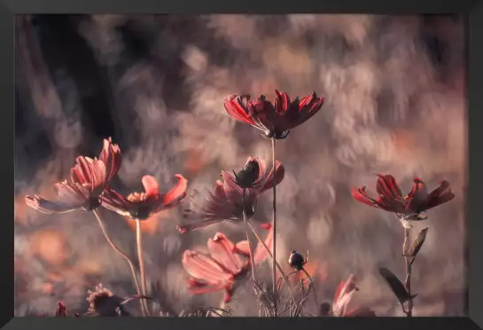 Danse cosmique - affiche fleurs