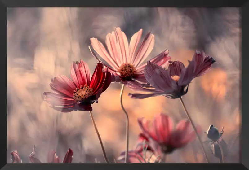 Les trois sœurs - affiche fleurs