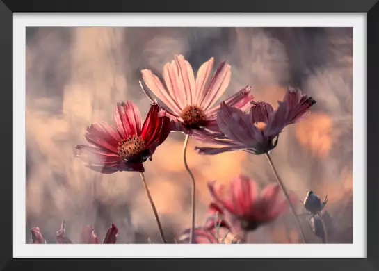 Les trois sœurs - affiche fleurs