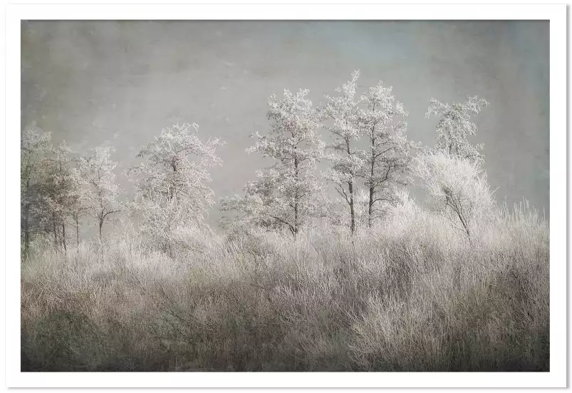 Matinée froide - affiche nature