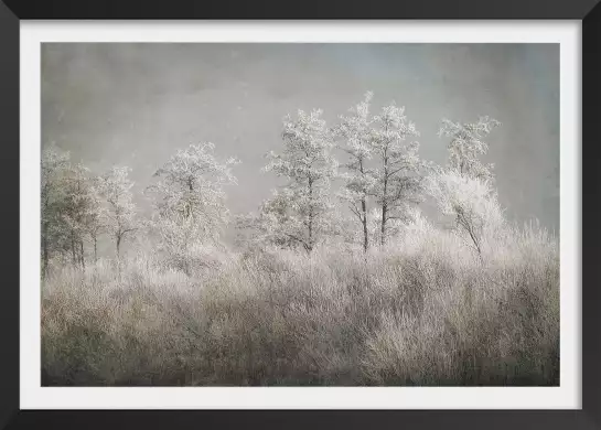 Matinée froide - affiche nature