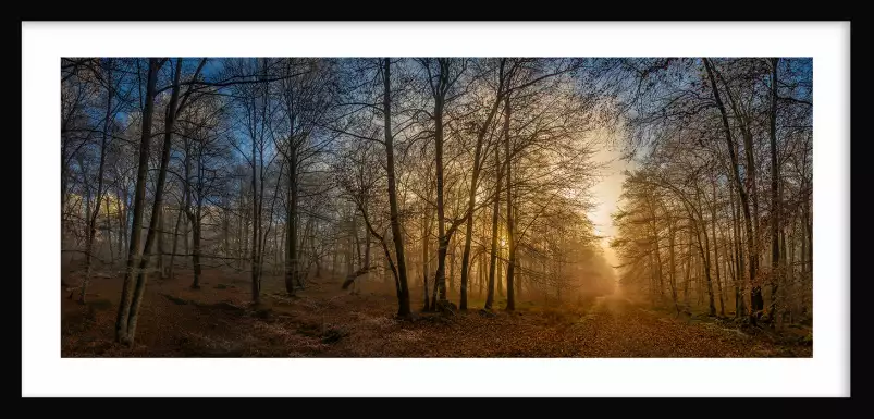 Sous bois au coucher du soleil - tableau paysage nature