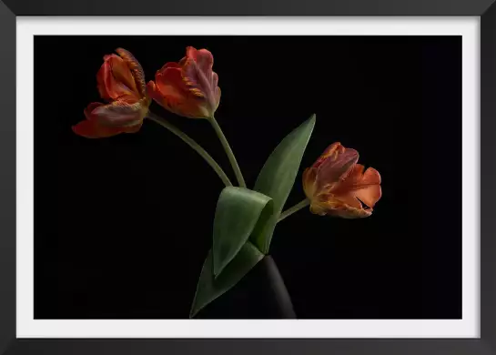 Tulipes en vase - affiche de fleurs