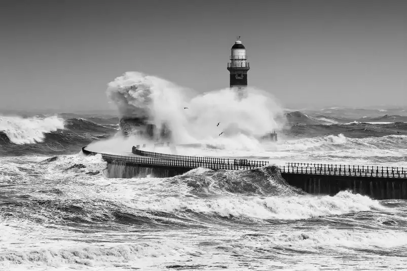 La puissance de la mer - affiche bord de mer