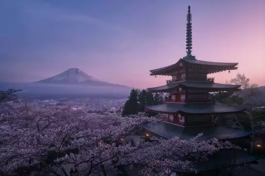 Mont Fuji Sakura - affiche monde