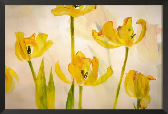 Tulipes - affiche fleurs