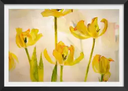 Tulipes - affiche fleurs