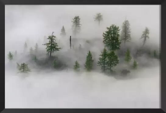 L'île mystique - affiche paysage