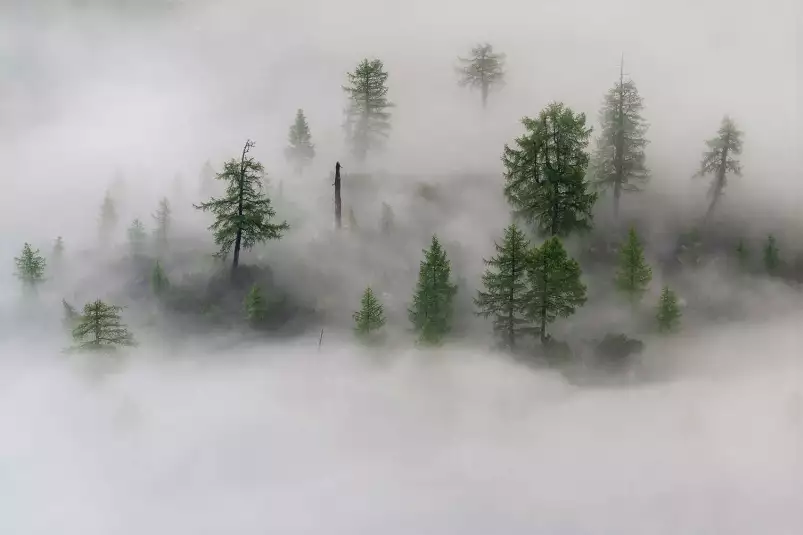 L'île mystique - affiche paysage