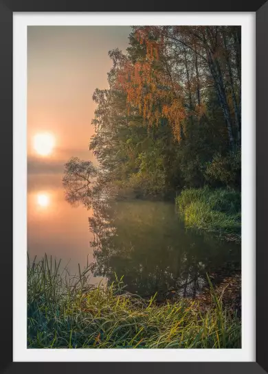 Brouillard tombant - paysage campagne