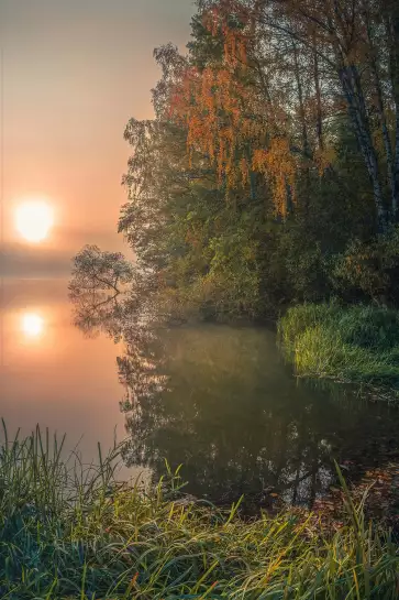 Brouillard tombant - paysage campagne