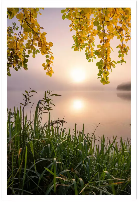 Matin sur le lac - paysage campagne