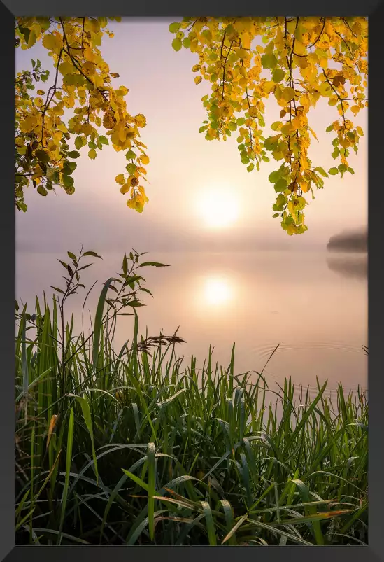 Matin sur le lac - paysage campagne