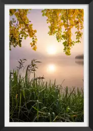 Matin sur le lac - paysage campagne