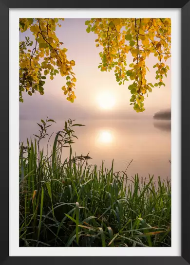 Matin sur le lac - paysage campagne