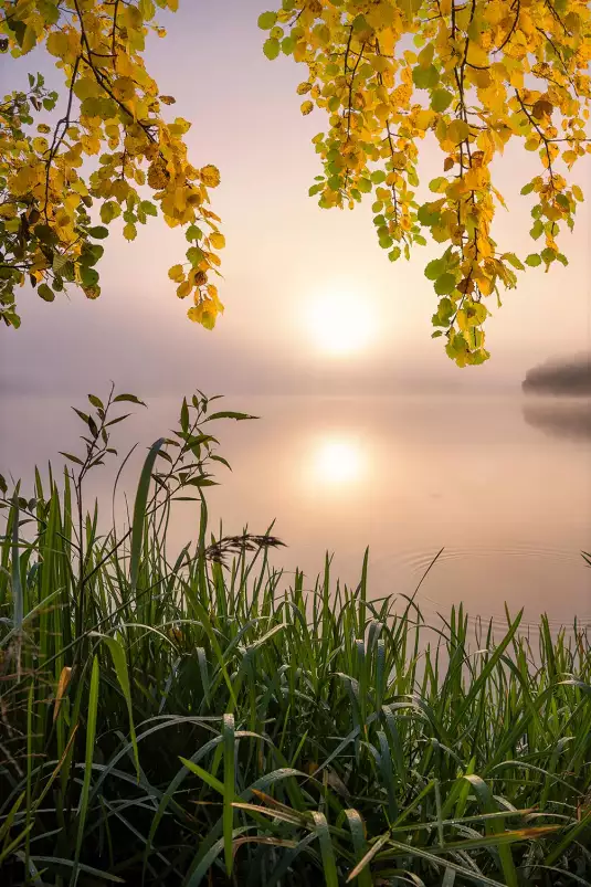 Matin sur le lac - paysage campagne