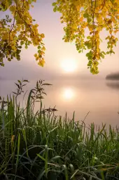 Matin sur le lac - paysage campagne