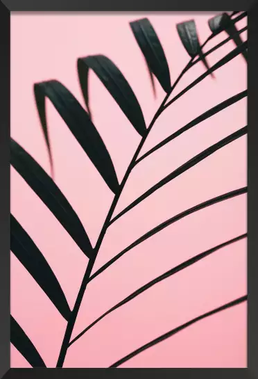 Feuille géante - affiche feuille de palmier