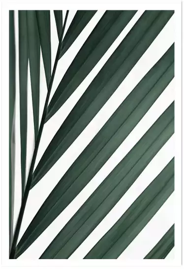 Feuille graphique - affiche feuille de palmier
