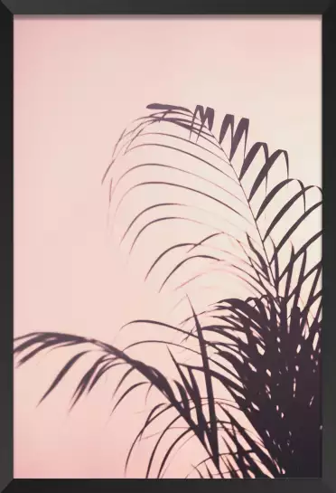 Palme rose - affiche feuille de palmier