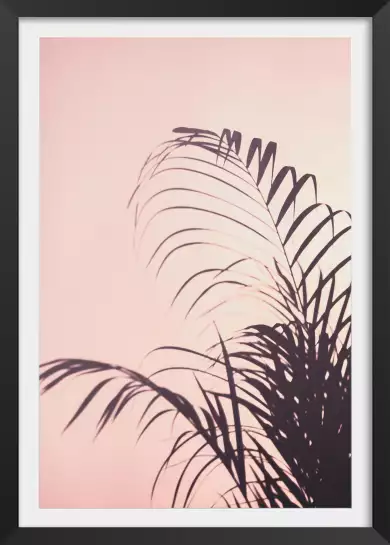 Palme rose - affiche feuille de palmier