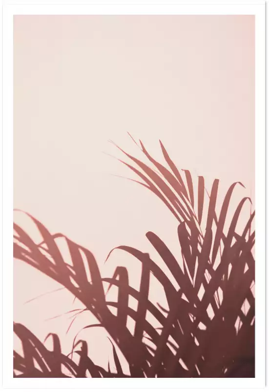 Soleil rose - affiche feuille de palmier