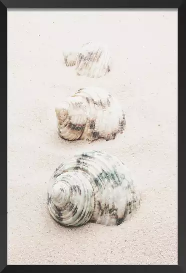 Escargots de mer - tableau sur la mer