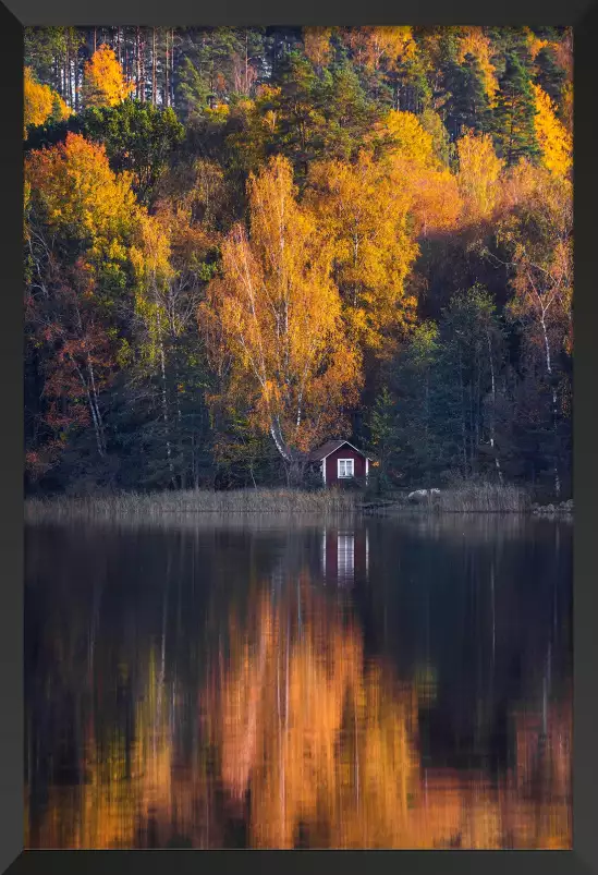 Couleur d'automne - paysage campagne