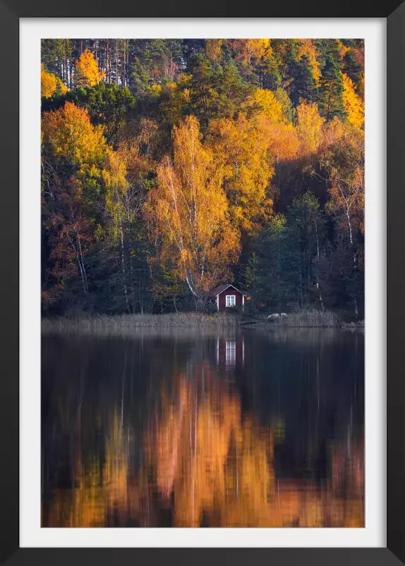 Couleur d'automne - paysage campagne