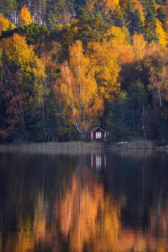 Couleur d'automne - paysage campagne