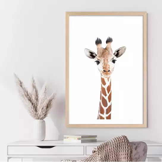 Baby  girafe - affiche animaux